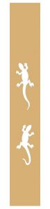 FM18 gecko paling motif